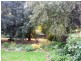 203 Thomson Street, Cootamundra NSW 2590