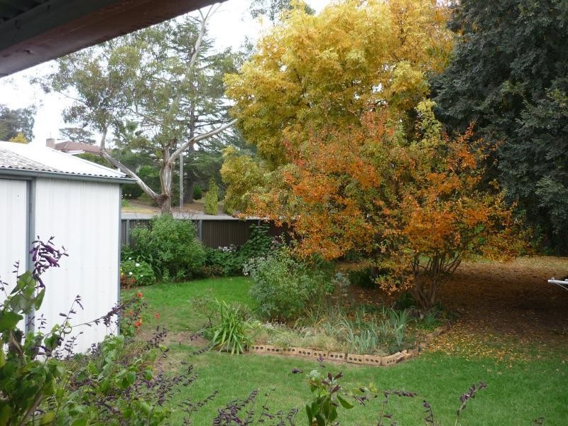 203 Thomson Street, Cootamundra NSW 2590