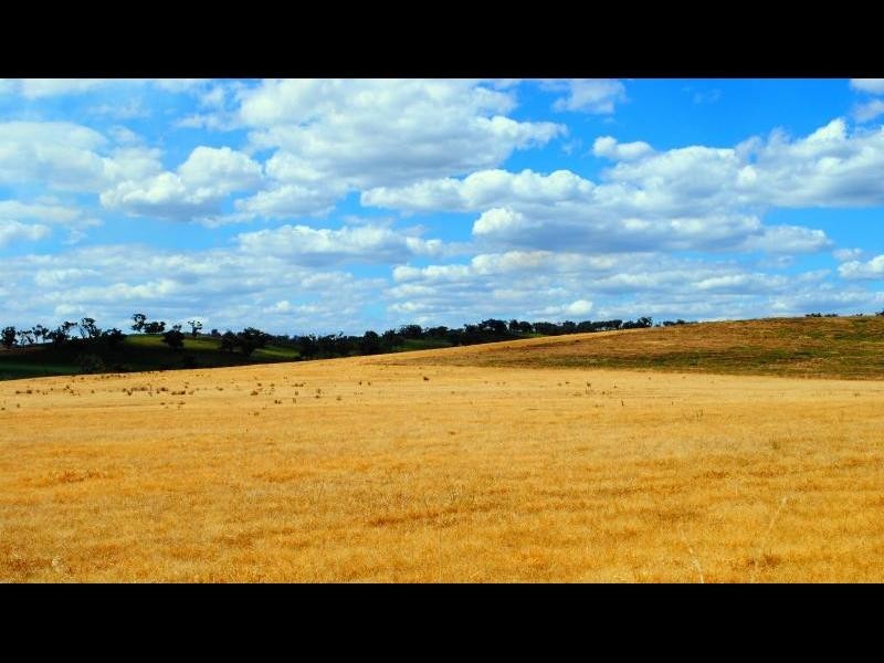 Lot 3 Ryans Lane, Cootamundra NSW 2590