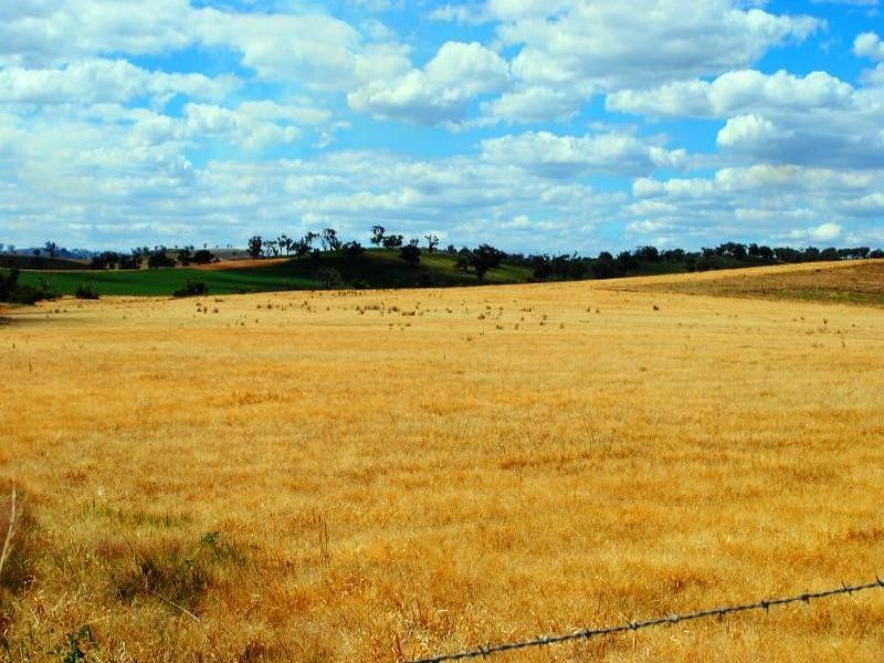 Lot 3 Ryans Lane, Cootamundra NSW 2590
