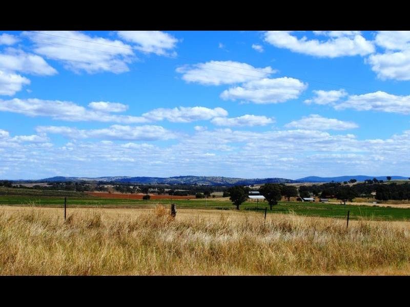 Lot 3 Ryans Lane, Cootamundra NSW 2590