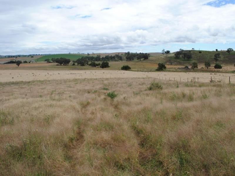 Lot 3 Ryans Lane, Cootamundra NSW 2590