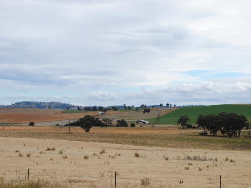 Lot 3 Ryans Lane, Cootamundra NSW 2590