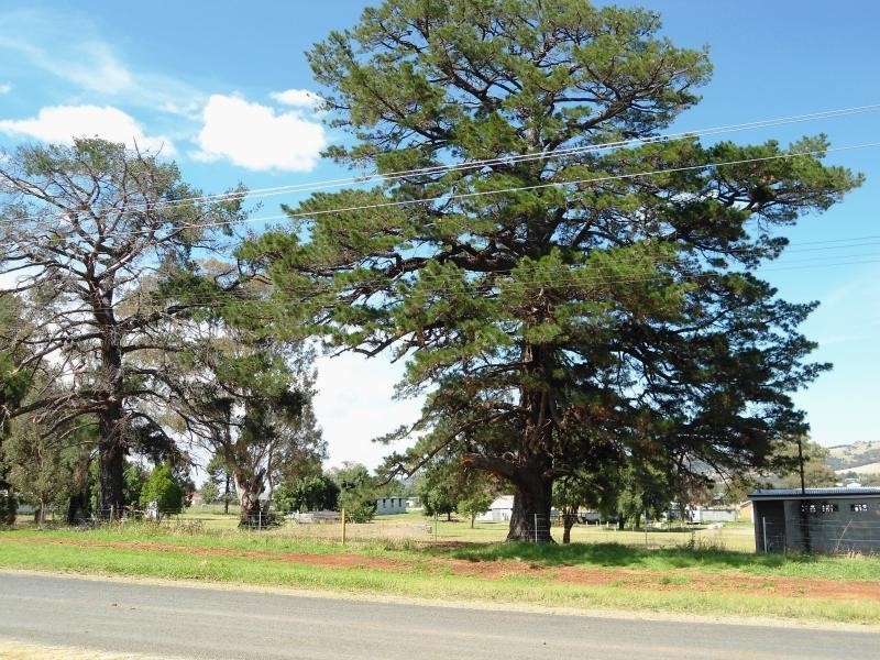 57-59 Pinkerton Road, Cootamundra NSW 2590