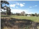 366 Matthews Street, Cootamundra NSW 2590