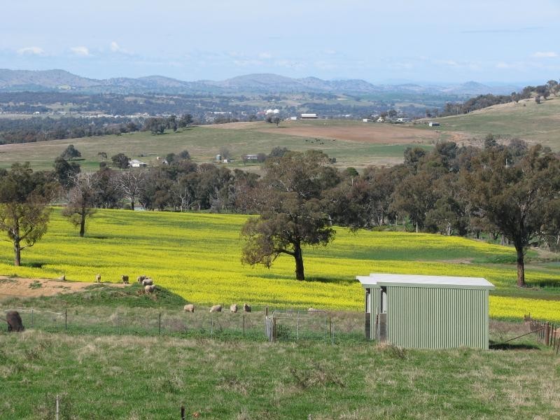 1129 Temora Road, Cootamundra NSW 2590