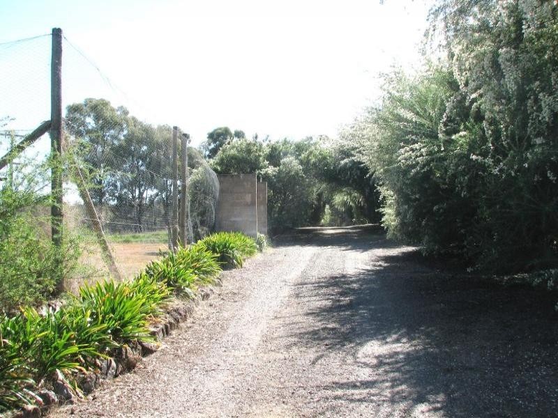 1129 Temora Road, Cootamundra NSW 2590
