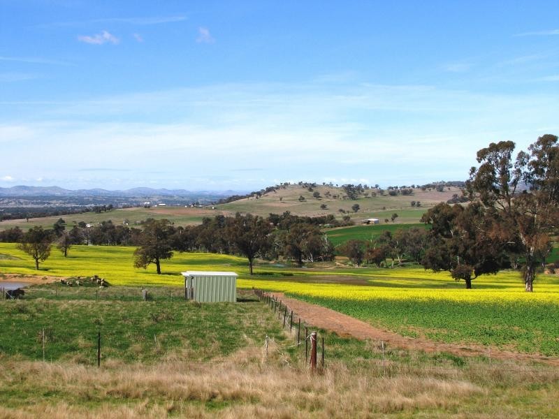 1129 Temora Road, Cootamundra NSW 2590