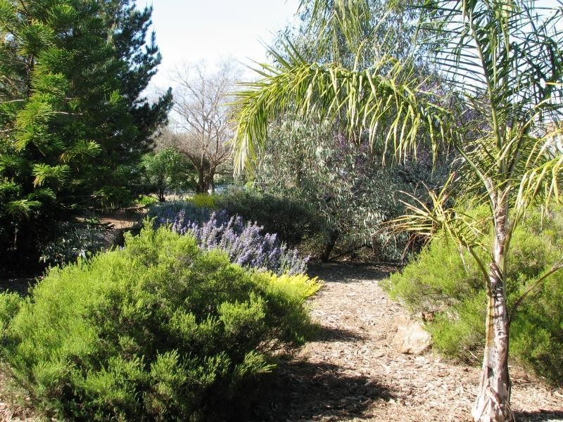 1129 Temora Road, Cootamundra NSW 2590
