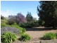 1129 Temora Road, Cootamundra NSW 2590