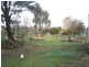 5 Bland Street, Cootamundra NSW 2590