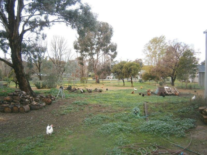 5 Bland Street, Cootamundra NSW 2590