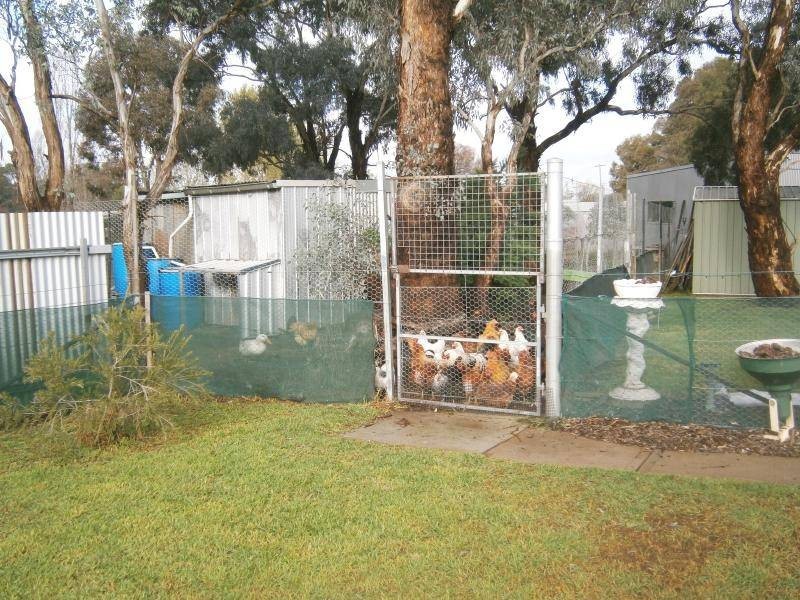 5 Bland Street, Cootamundra NSW 2590