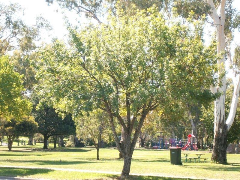 60 Mackay Street, Cootamundra NSW 2590