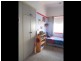 21 Wills Street, Cootamundra NSW 2590