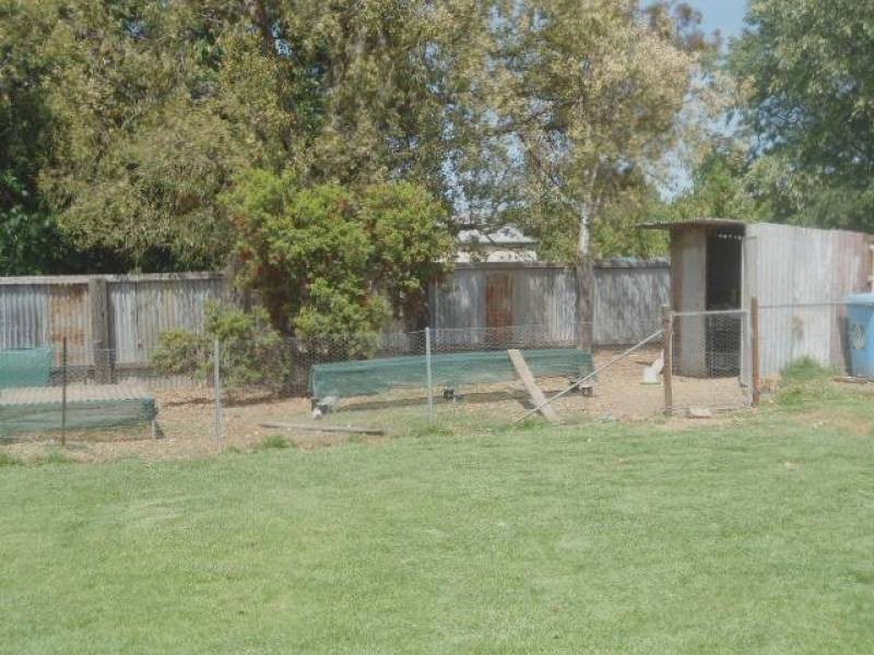 21 Wills Street, Cootamundra NSW 2590