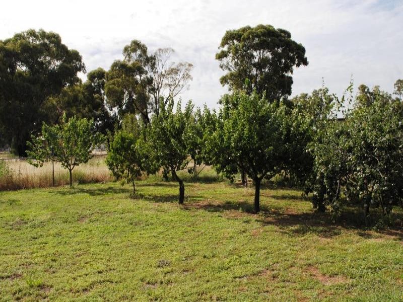 90 Hibernia Street, Stockinbingal NSW 2725