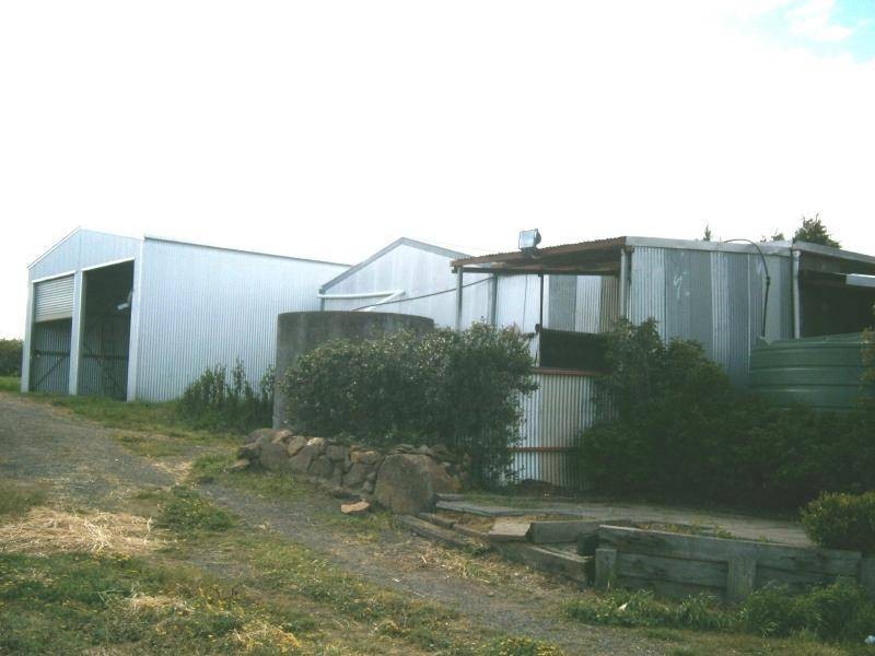 509 Wickhams Lane, Young NSW 2594