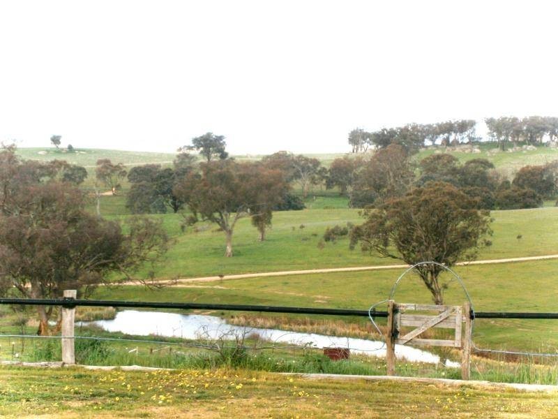 509 Wickhams Lane, Young NSW 2594