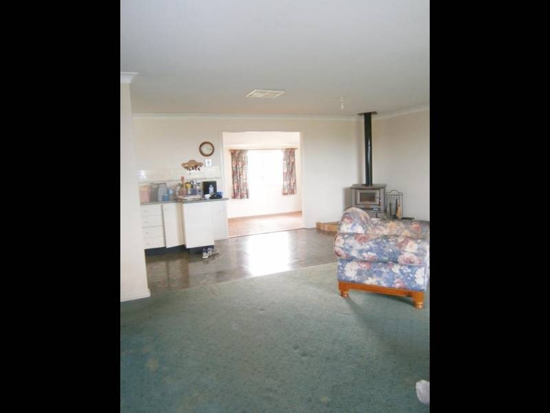 509 Wickhams Lane, Young NSW 2594