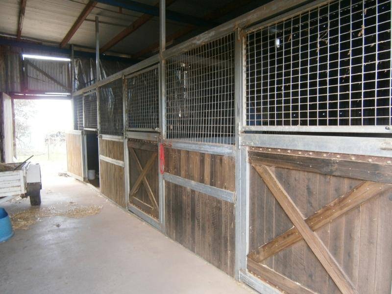 509 Wickhams Lane, Young NSW 2594