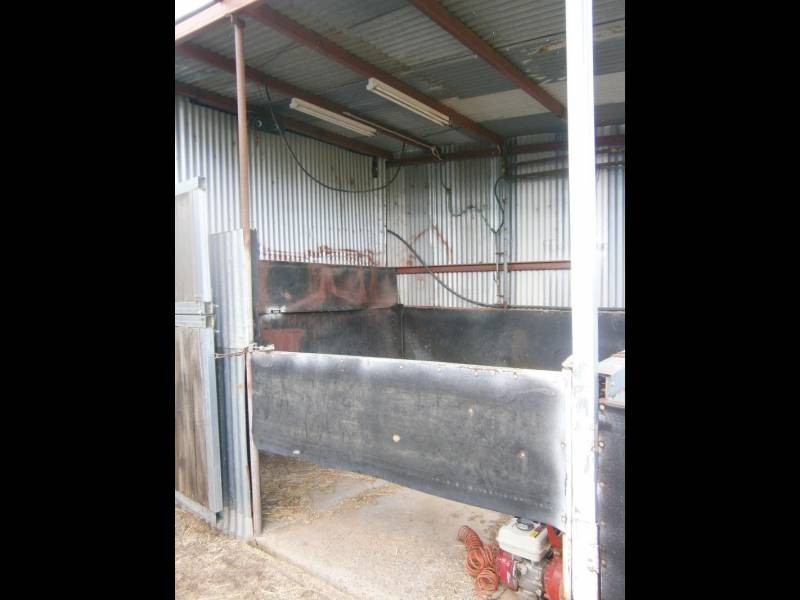 509 Wickhams Lane, Young NSW 2594