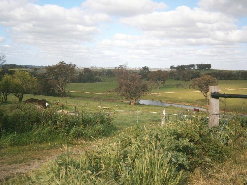 509 Wickhams Lane, Young NSW 2594