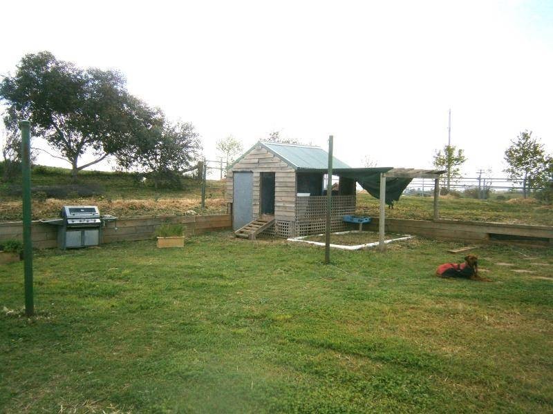 509 Wickhams Lane, Young NSW 2594