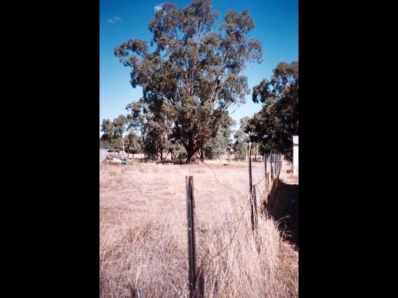 Lot 8/ Troy Street, Stockinbingal NSW 2725