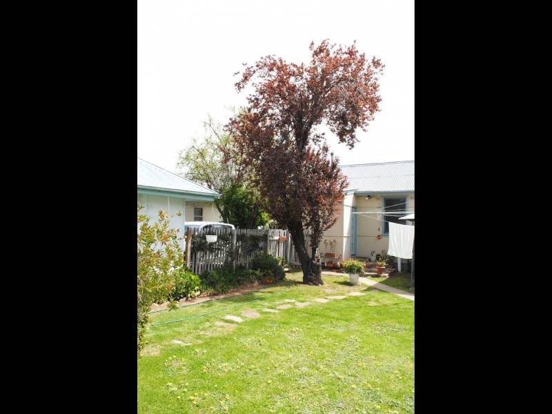 194 Thompson Street, Cootamundra NSW 2590