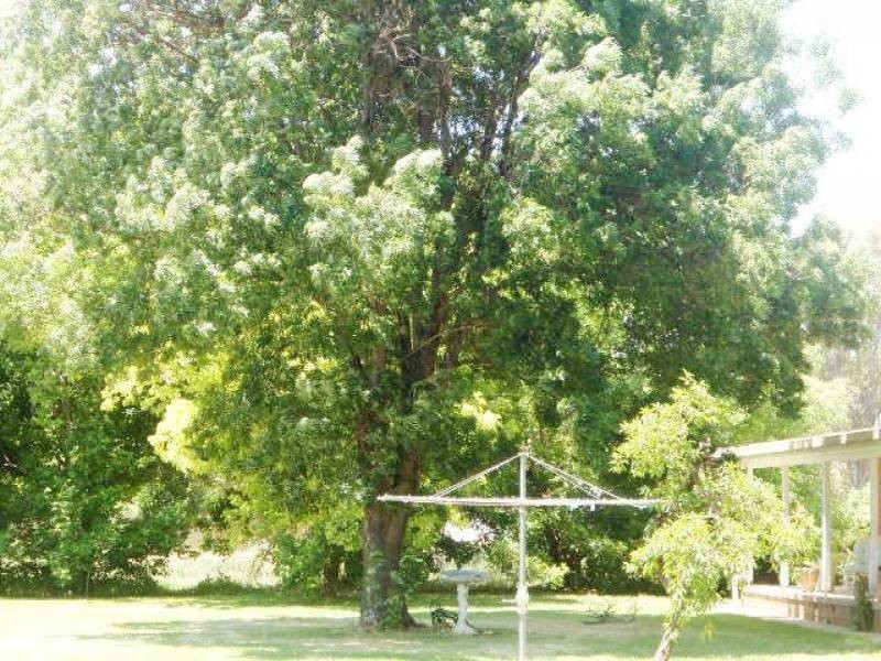 67 Rodeo Drive, Cootamundra NSW 2590