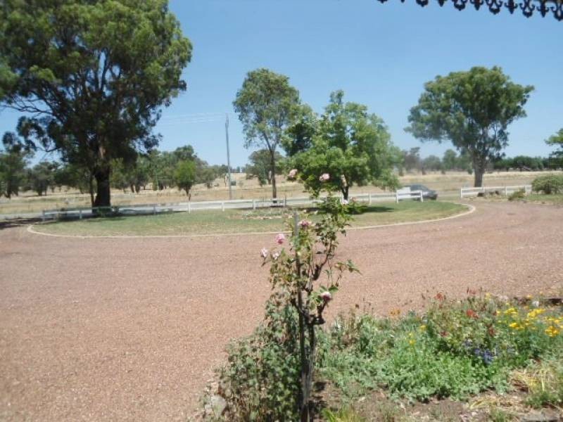67 Rodeo Drive, Cootamundra NSW 2590