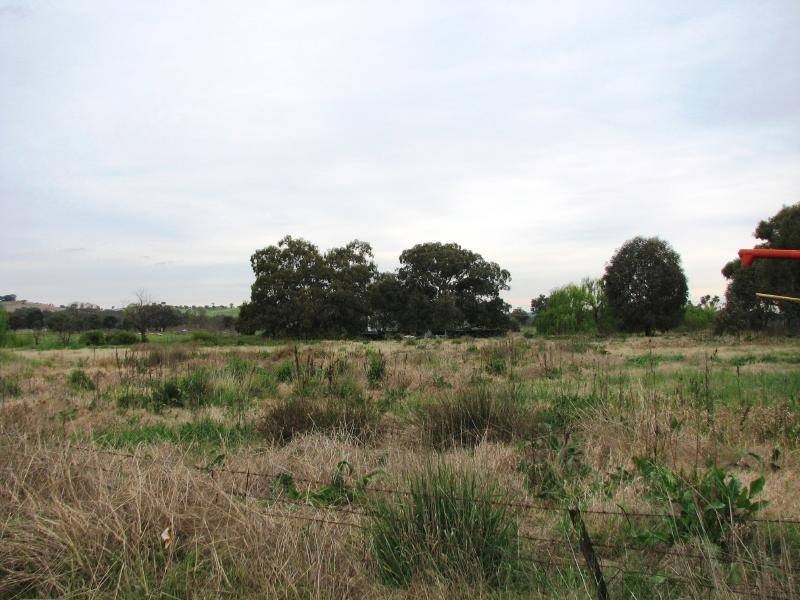 Lot 1 Cowcumbla Street, Cootamundra NSW 2590
