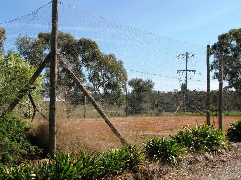 1129 Temora Road, Cootamundra NSW 2590