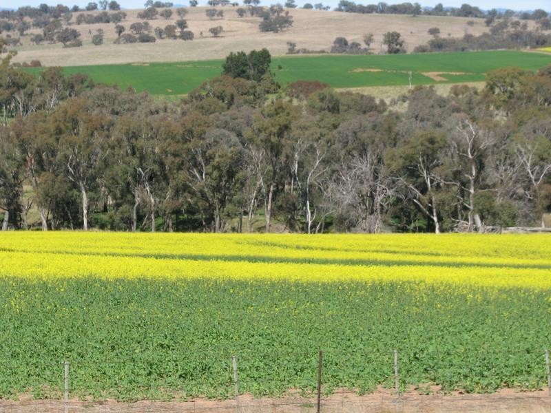 1129 Temora Road, Cootamundra NSW 2590