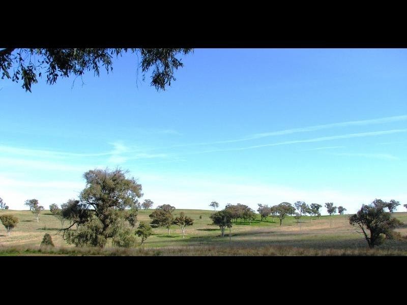 1129 Temora Road, Cootamundra NSW 2590