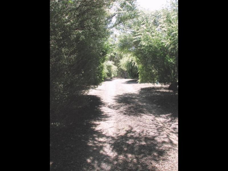 1129 Temora Road, Cootamundra NSW 2590