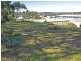 West Gosford NSW 2250