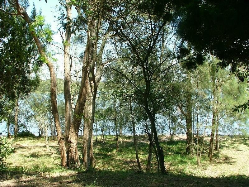 Chain Valley Bay NSW 2259