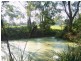 Central Mangrove NSW 2250