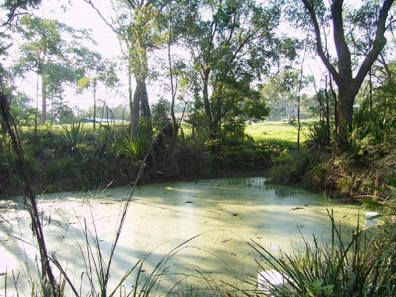 Central Mangrove NSW 2250