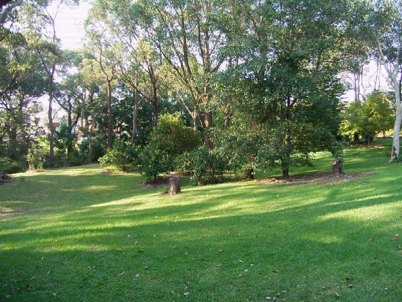 Central Mangrove NSW 2250