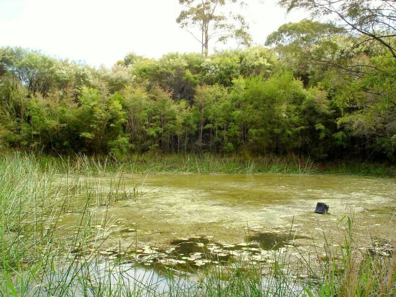 16 Robinson Road, Somersby NSW 2250