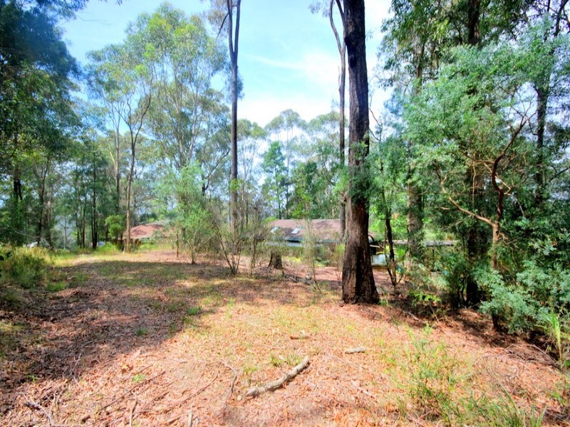 17 Manamoi Close, Niagara Park NSW 2250