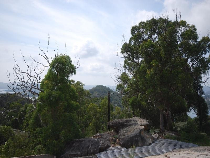 Phegans Bay NSW 2256