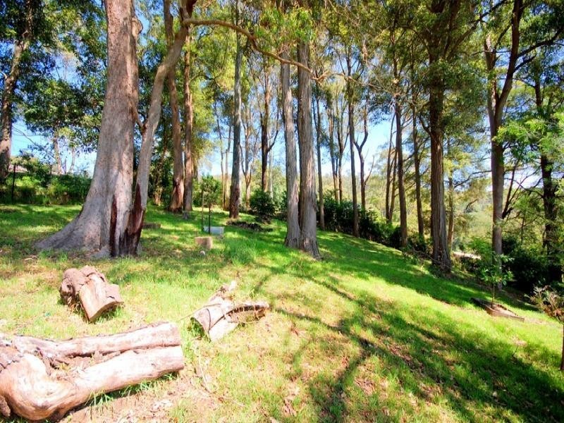 Ourimbah NSW 2258