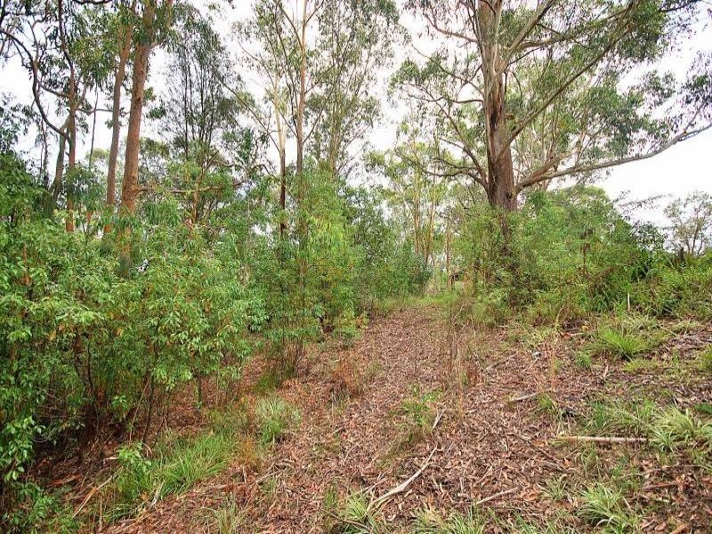 12 Tottenham Place, North Gosford NSW 2250