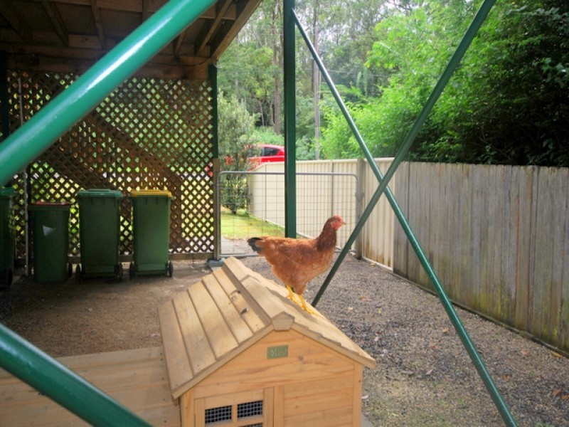 48 Lakala Ave, Springfield NSW 2250