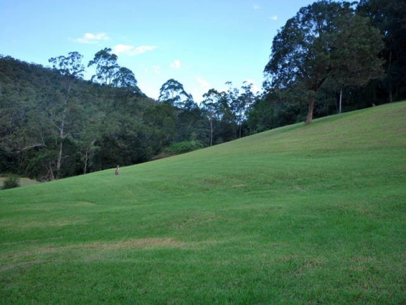 392 Ourimbah Creek Road, Ourimbah NSW 2258