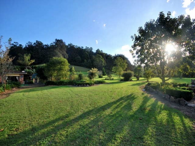 Ourimbah Creek Road, Ourimbah NSW 2258